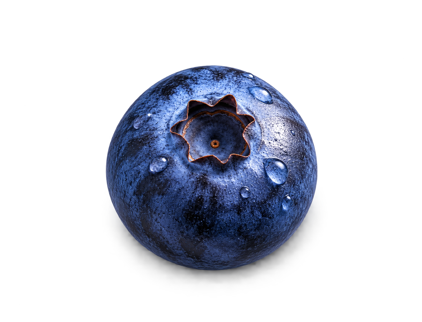 Fresh blueberry